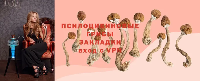 Псилоцибиновые грибы Magic Shrooms  Котово 